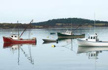 Lobster Boats